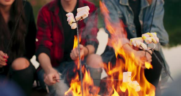 Happy Men and Women are Sitting Around Fire Cooking Marshmallow and Singing During Hike in Forest alt