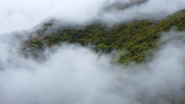 Misty Autumn Mountain Aerial View alt