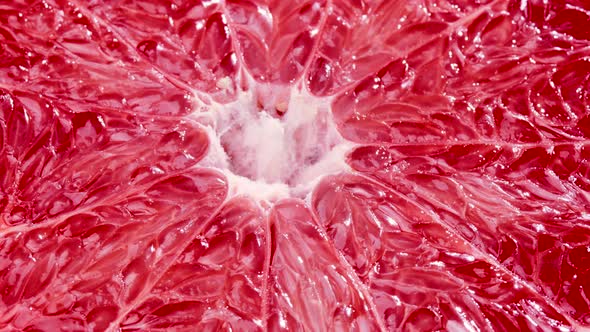 Macro Shot of Rotating Grapefruit Flesh Structure alt