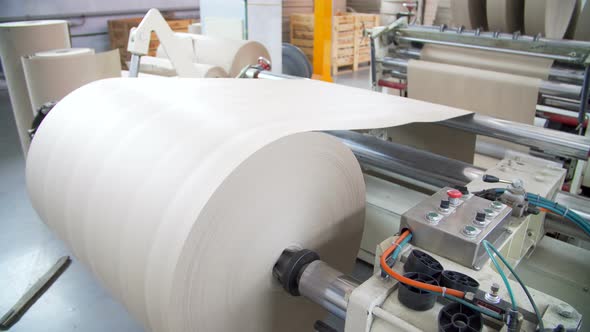 Paper and Pulp Mill alt