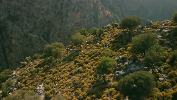This Video Taken at the Butterfly Valley