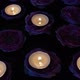 Roses and Candles 19 - VideoHive Item for Sale
