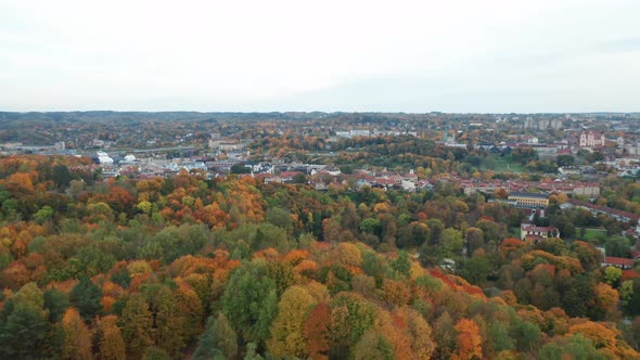 AERIAL: Vilnius City Panorama in Autumn Forest Trees with Dull Sky in Background
