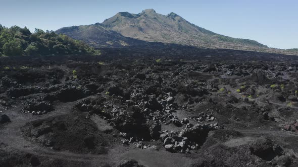 Drone Flying Low Between Black Rocks of Petrified Volcanic Lava and Green Exotic Plants Towards a