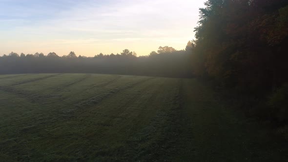Agricultural Grass Field and Trees at Foggy Sunrise