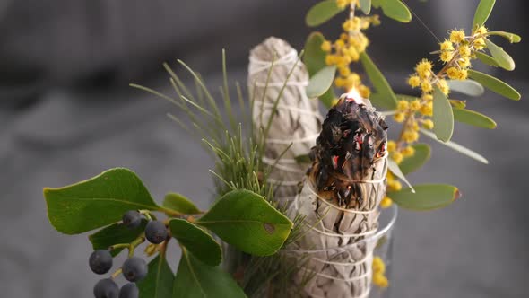Dried White Sage Smudge Stick, Relaxation and Aromatherapy. Smudging During Psychic Occult Ceremony