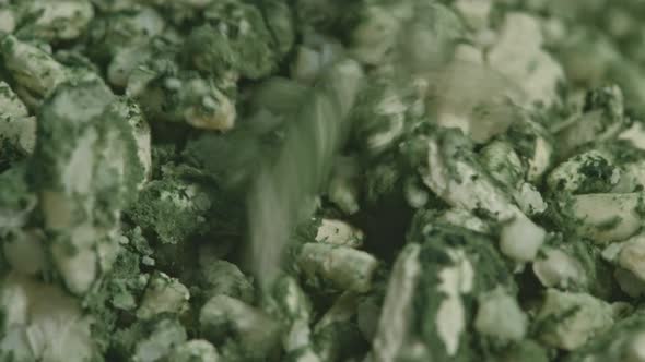 Close Up Trichoderma Has A Dark Green Color Attached To The Rice Grains. alt