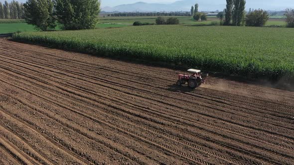 Tractor Is Seeding The Farm