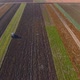 Agriculture - Flying Over a Harvester 6 - VideoHive Item for Sale