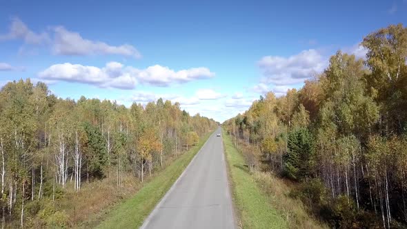 Nice Aerial View Yellow Birch Woods and Distant Car on Road alt