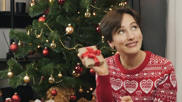 Christmas New Year Present alt