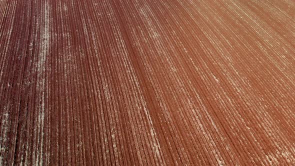 Aerial image of the field ready for planting seeds. Plowed land for planting alt