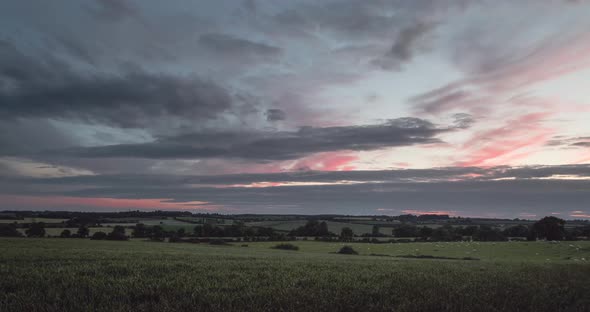 Beautiful Pastel Sunset Over Field With Livestock Time Lapse