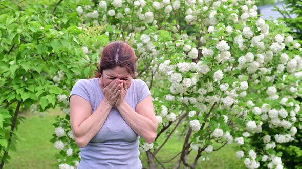Beautiful Redhaired Woman Sneezes and Rubs Her Nose While Standing Next to a Blossoming Apple Tree alt