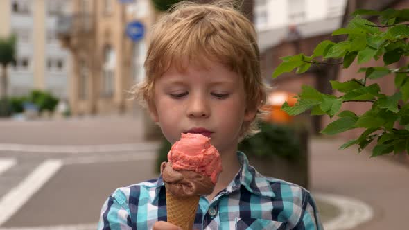 Blonde Boy Enjoys Eating a Tasty Ice Cream