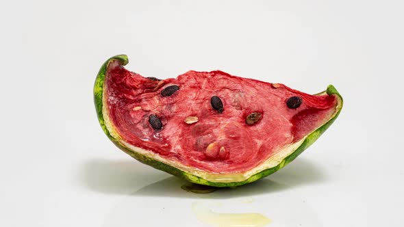 Piece of Ripe Watermelon Rots on White Background, Time Lapse, Educational Cognitive Video alt