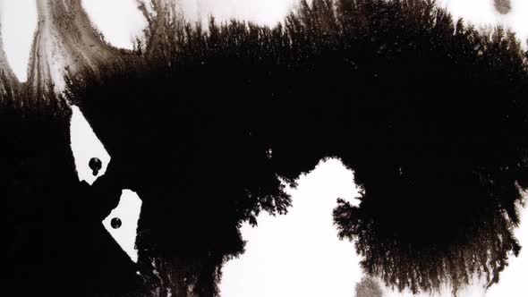 Black Ink Drops On White Background alt