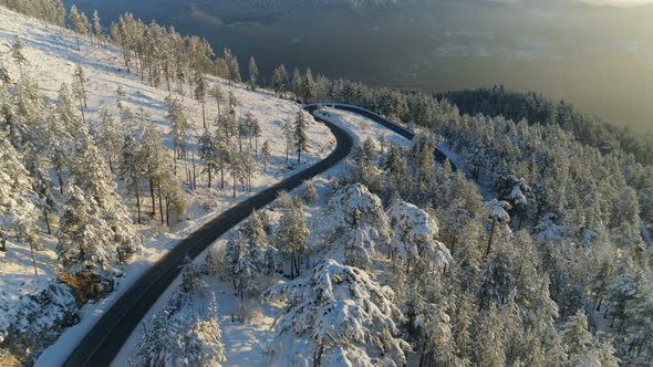 Flight Over the Road Through the Snowy Forest at Sunrise