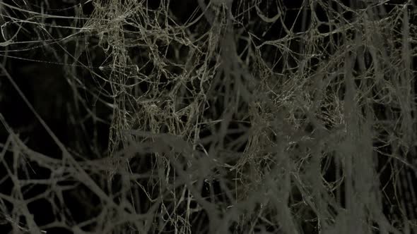 Fly through endless spider webs. Scary space, horror, halloween background. The video is in a loop.