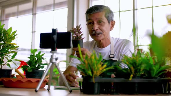 Senior gardener man selling beautiful plants on social media by streaming live from his shop. alt