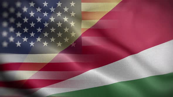 USA Seychelles Flag Loop Background 4K