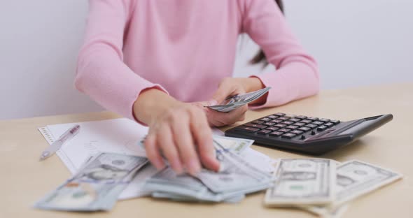 Housewife counting the expenditure of daily life alt