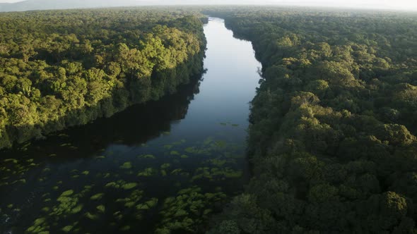 Amazon River View alt