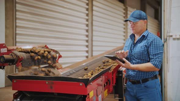 Potato Harvesting alt