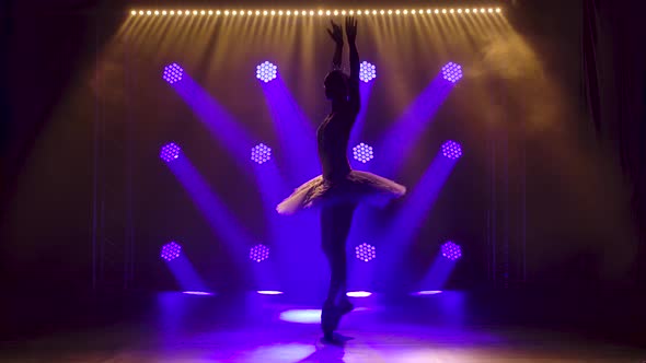 Classical Ballet Choreography Perfoming By Young Beautiful Graceful Ballerina in White Tutu alt