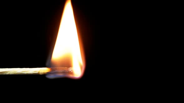 Igniting Match and Flame on a Black Background alt