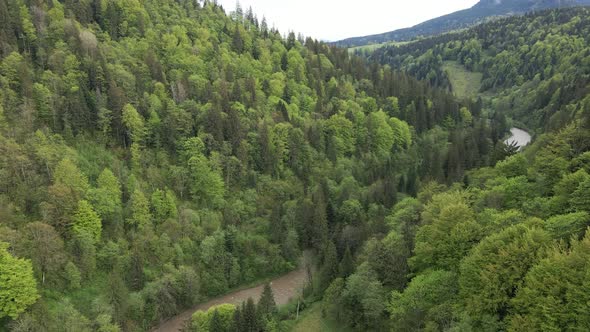 Ukraine, Carpathian Mountains: Beautiful Mountain Forest Landscape. Aerial alt