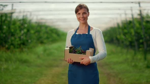 Garden Woman Presenting Harvest Box with Berry at Sunny Agriculture Plantation alt