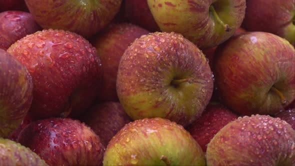Due to the presence of phytochemicals in apples, they have gained special importance in the human bo alt