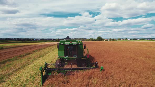 Combine Harvester Harvesting in the Field alt