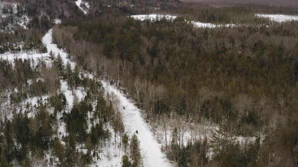 Aerial view flying over snowmobiles on snow covered road in wilderness alt