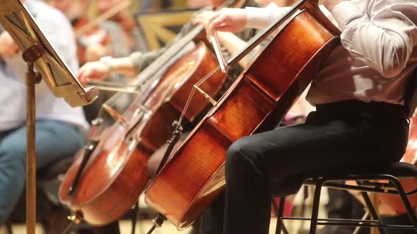 Person performing on a cello