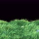 Easter Egg on Grass Strong Blowing 4K - VideoHive Item for Sale