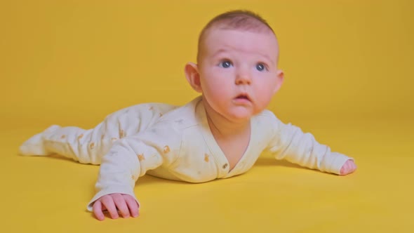 Infant baby boy looks with curiosity while lying on his tummy, studio yellow background.