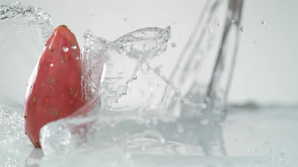 Camera follows water splash and prickly pears. Slow Motion. alt