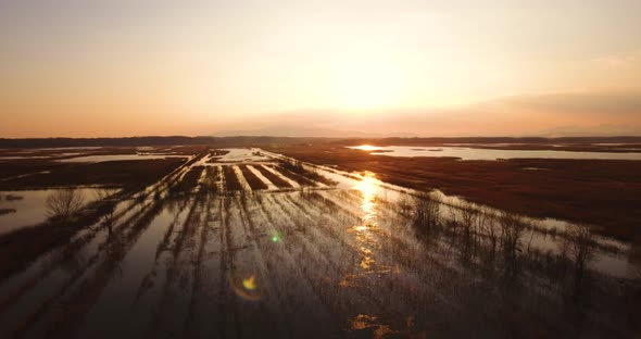 Aerial, Beautiful Fall Landscape On A Big Pond With Low Water And Sun Reflections