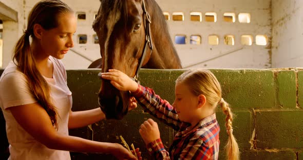 Mother and daughter feeding a horse 4k alt