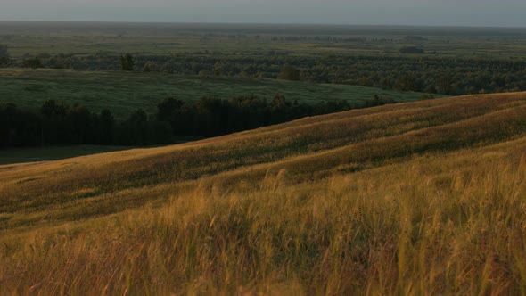 hilly field with trees at sunset