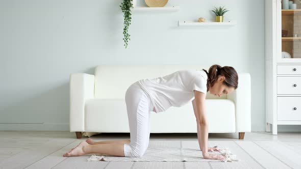 Pregnant Lady Does Marjaryasana on Floor Near Sofa at Home alt