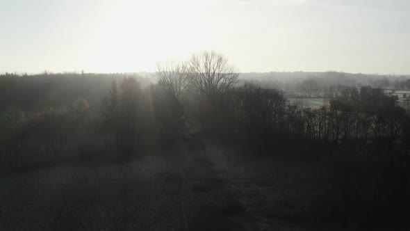 early morning winter landscape with trees and frost-covered fields, camera is rising high, rays of s alt