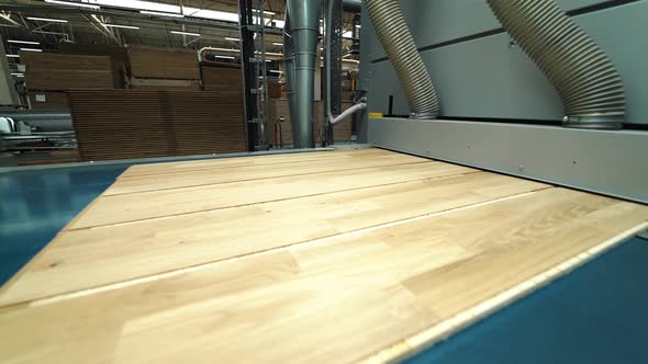 Modern Parquet Grinding Technology at a Woodworking Factory alt