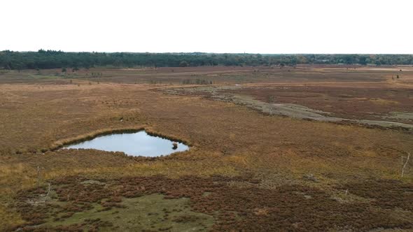 Drone rises over a watering hole in a barren field of bushes. alt