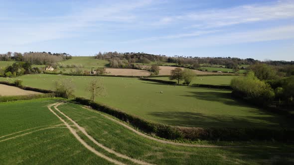 Mickleton 1 Aa Exquisite Aerial Spring Landscape England Mickleton Woods Sheep In Field