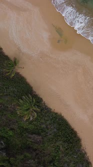 A Vertical Overhead Shot of Colora Beach with Crashing Waves in Puerto Rico