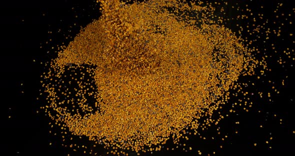 Pollen Dumplings Falling on Black Background, Slow Motion 4K alt