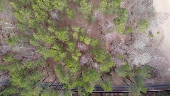 Aerial View of the Vuoksi River, the Forest and the Settlement in Autumn Day, Losevo, Leningrad